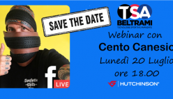 Webinar con Cento Canesio