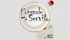 L'upgrade è servito  Ep.1. Revisione dei foderi della forcella