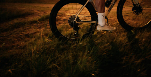 Ceramicspeed Alpha Pulley Wheels